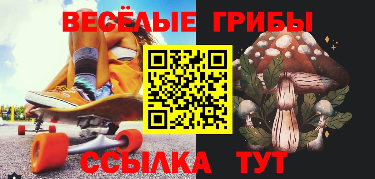 Псилоцибиновые грибы мухоморы  Вход с VPN  Сертолово  Псилоцибиновые грибы Cubensis 